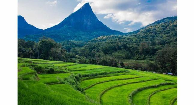 නැවත දැනුම්දෙන තුරු මීමුරේ එන්න එපා..